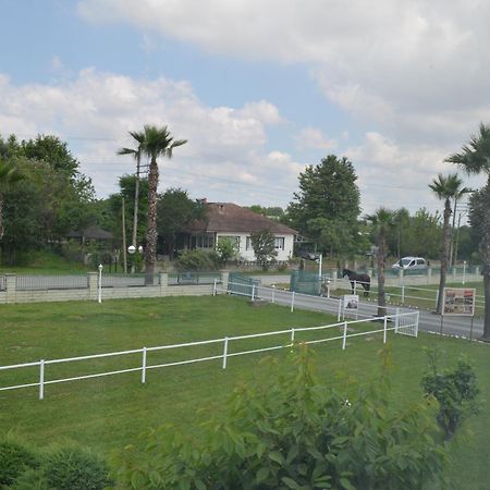 Serbesler Botanik, No 1 Comfortable Villa ساكاريا المظهر الخارجي الصورة