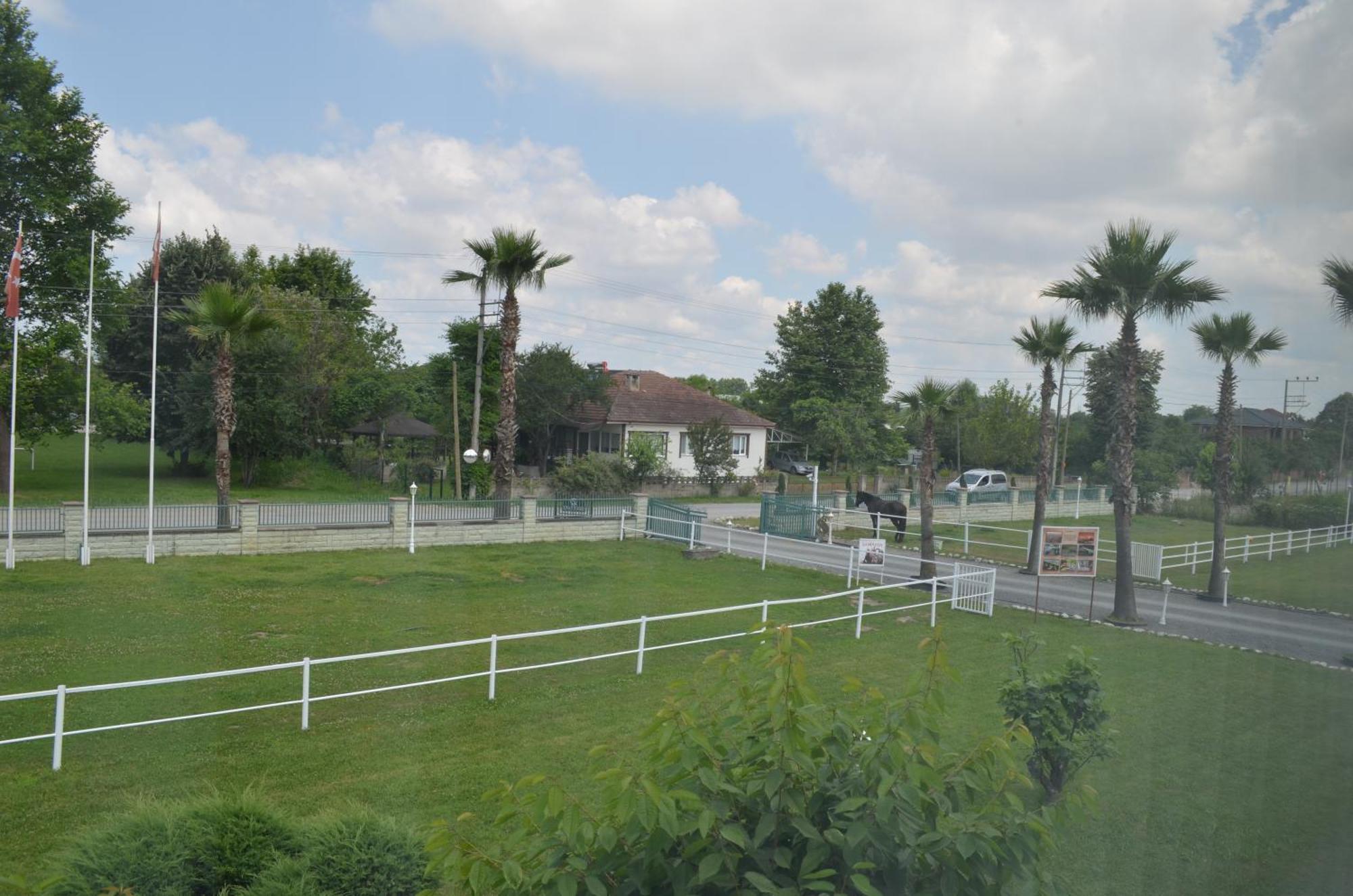 Serbesler Botanik, No 1 Comfortable Villa ساكاريا المظهر الخارجي الصورة
