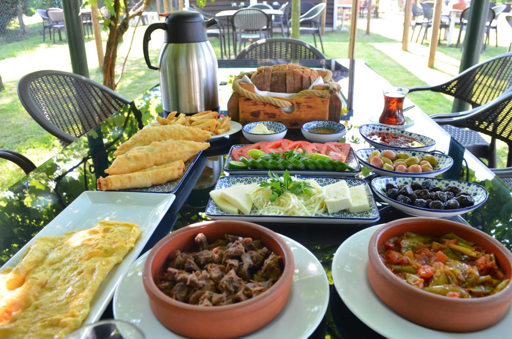 Serbesler Botanik, No 1 Comfortable Villa ساكاريا المظهر الخارجي الصورة
