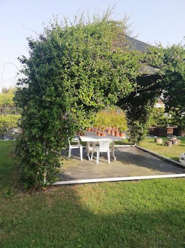 Serbesler Botanik, No 1 Comfortable Villa ساكاريا المظهر الخارجي الصورة