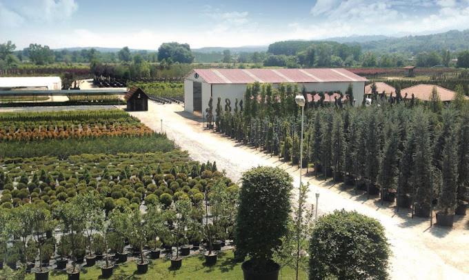 Serbesler Botanik, No 1 Comfortable Villa ساكاريا المظهر الخارجي الصورة