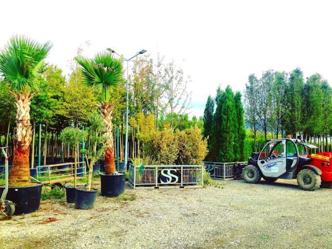 Serbesler Botanik, No 1 Comfortable Villa ساكاريا المظهر الخارجي الصورة